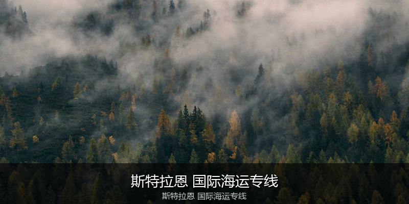 2024年中国到澳大利亚海运价格走势分析