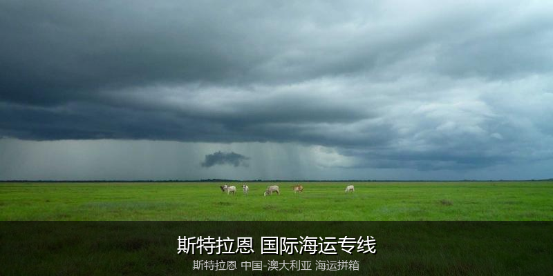 澳大利亚海运专线时效对比与选择指南